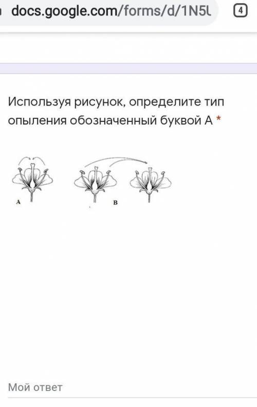 Используя рисунок ,определите тип опыления обозначенный буквой А