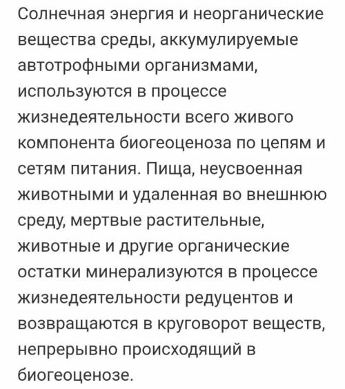 Особенности принципиальные особенности домината их сходство древний рим