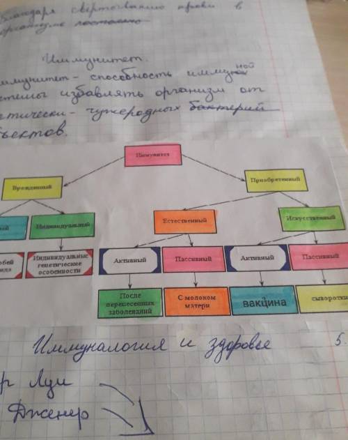 Установите последовательность прохождения крови по большому кругу кровообращения б