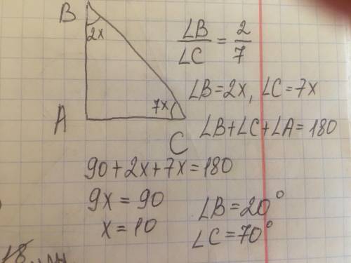 Гострі кути прямокутного трикутника відносяться як 2:7. Знайти градусні міри цих күтів. ​