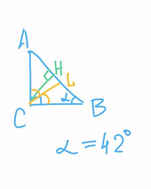 Один из острых углов прямоугольного треугольника равен 42⁰. Найдите угол между высотой и биссектрисо