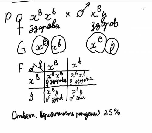 Наследственное заболевание гемофилия вызывается рецессивным геном (в). Аллели этого гена расположены