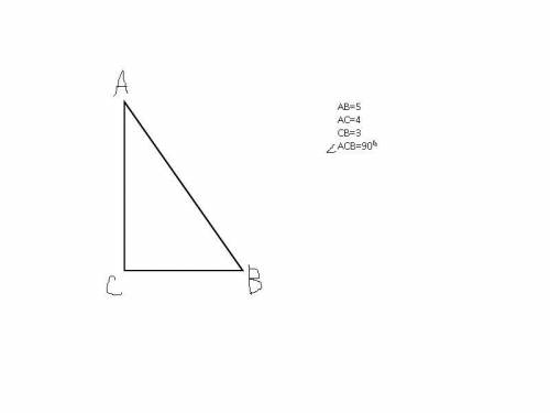 САМОСТОЯТЕЛЬНАЯ РАБОТАПострой прямоугольный треугольник со сторонами4 см и 8 см, прилегающими к прям