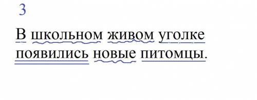 Подчеркни в каждом предложении грамматическую основу и второстепенные члены Дай характеристику каждо