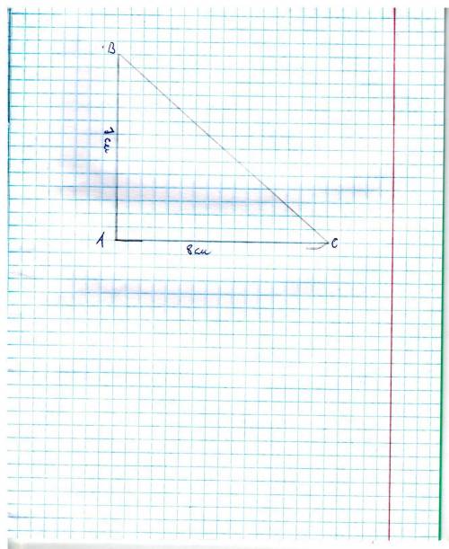 Построй прямоугольный треугольник со сторонами 8 см и 7 см прилегающими к прямому углу (●´⌓`●)