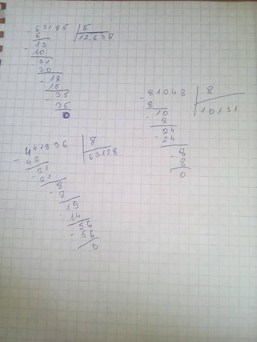 Выполни деление(в столбик) и сделай проверку : 63185:5, 81048:8, 441896: 7​