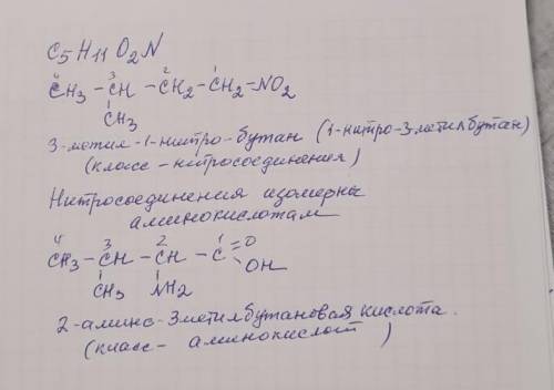 Для вещества C5H11O2N составьте две структурные развернутые формулы веществ-изомеров, принадлежащих