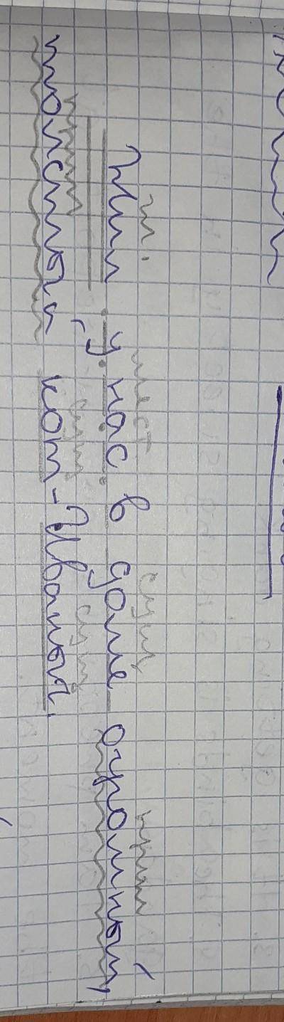 (1)Жил у нас в доме огромный толстый кот — Иваныч. (2)Мы все его любили за добрый нрав. (3)Только ув