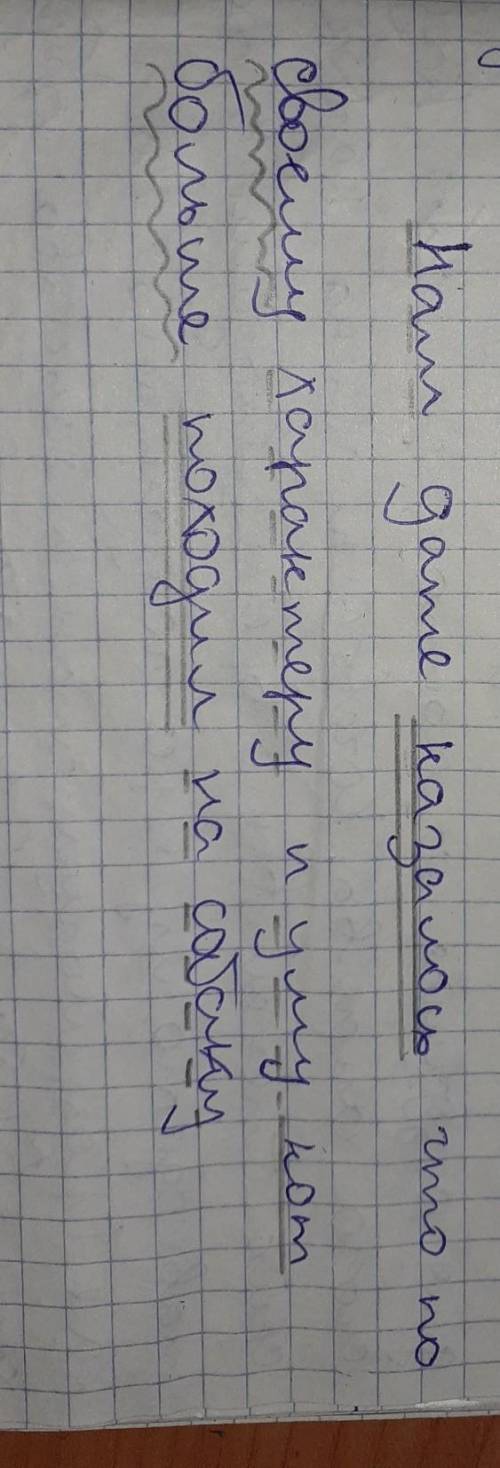 (1)Жил у нас в доме огромный толстый кот — Иваныч. (2)Мы все его любили за добрый нрав. (3)Только ув