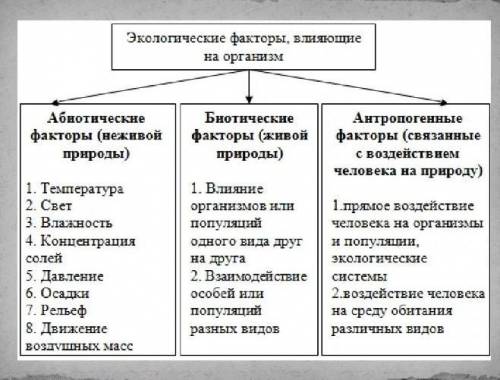 Пищевые взаимоотношения между организмами относятся к группе: биотических абиотических антропогенных