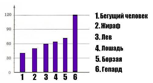 Бегущий человек достигает скорости приблизительно40 км/ч, жираф — 50 км/ч, лев — 60 км/ч, лошадь —64