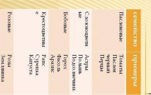 Заполните таблицу по двудольным растениям