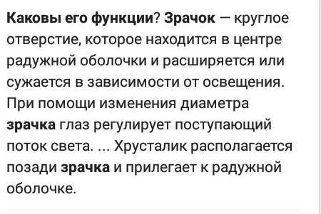 Что такое зрачок? Каковы его функции?