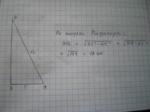 Знайти катет прямокутного трикутника,якщо гіпонуза та на інший катет відповідно дорівнюють 13 см і 5