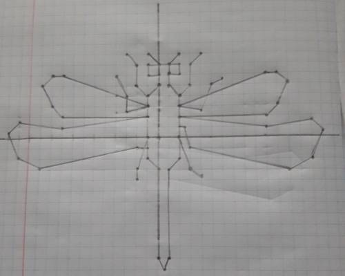 Нарисовать стрекозу по координатам Тело: (0; 5), (-1; 4), (-1;-2), (0;-3), (0;-11), (0,5; -12), (1;