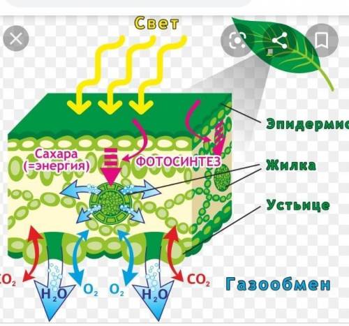 Задание 4 Сделать обозначение частейлиста под N 2,4,5​