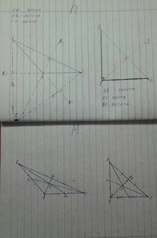 Построить 2 треугольника: тупоугольный и прямоугольный и провести в каждом ПРАВИЛЬНО 3 высоты, 3 мед