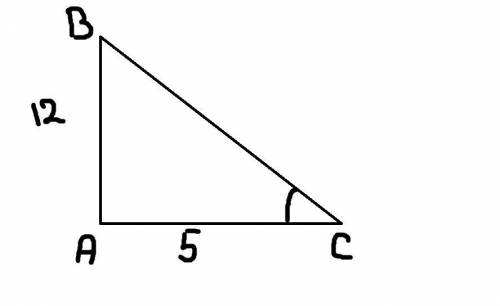 Катеты прямоугольного треугольника равняются 5 и 12 см.Найдите синус угла противолежащего к большему