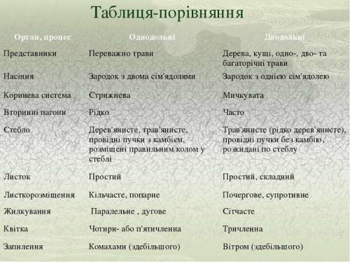 Сравнительная характеристика: Однодольные Двудольные 1. Тип корневой системы 2. Тип жилкования листь