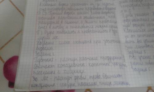 *ФИ Кл (20)Суммативное оценивание за 4 четверть по естествознанию 6 классИтого: 1.Объясните причи