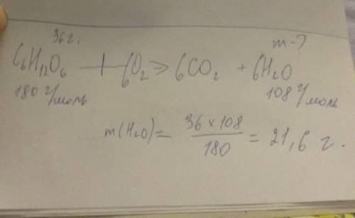 Яка маса води утворюється при оксигені 36г. глюкози ть будьласка!!