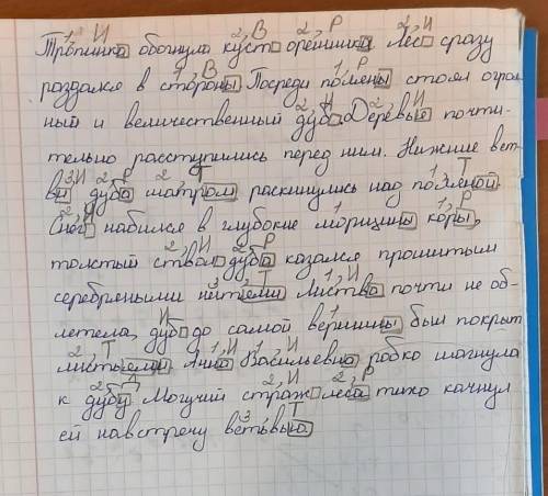 Над именами существительными укажи склонение, падеж, выдели окончания. Тропинка обогнула куст орешни