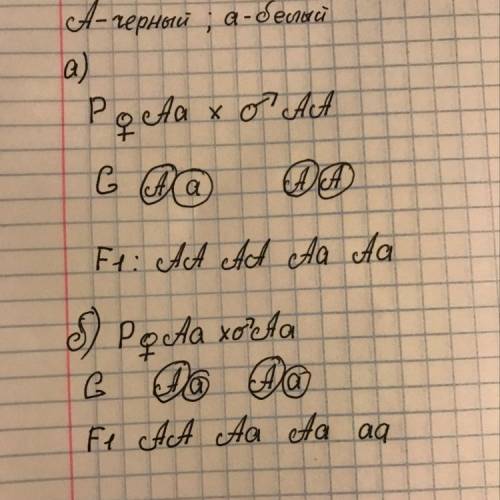 Черный цвет полностью доминирует над белым. Крольчиха- гетерозигтная, кроль- черный. Решить задачу ,