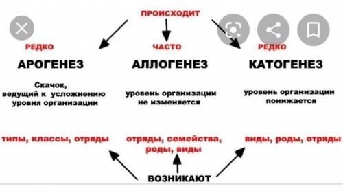 Могу ли катагенезы сменяться аллогенезами? Приведите примеры.