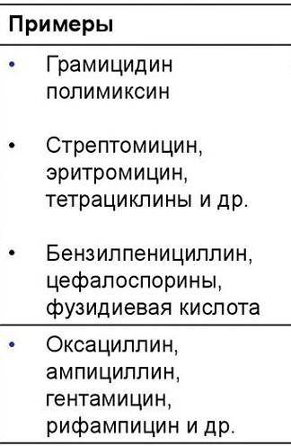 Для уничтожения бактерий и их спор используют антисептики, антибиотики и дезинфицирующие средства. П