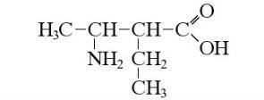 3-аміно-2-етилбутанова кислота формула