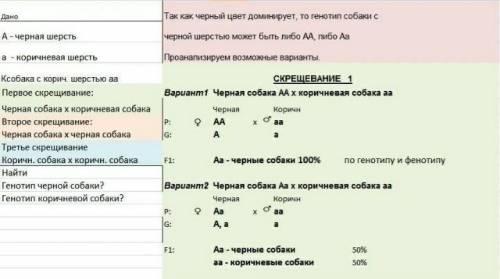 НУЖНЫ РЕШЕНИЯ ЗАДАЧ Задача № 1. У людей карий цвет глаз доминирует над голубым лучше владеть правой