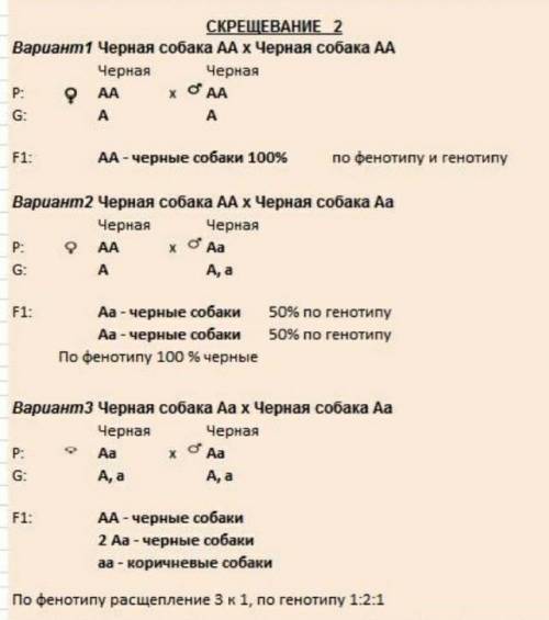 НУЖНЫ РЕШЕНИЯ ЗАДАЧ Задача № 1. У людей карий цвет глаз доминирует над голубым лучше владеть правой