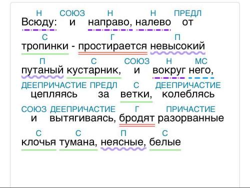 Синтаксический разбор предложения: Всюду: и направо, и налево от тропинки невысокий путаный кустарни