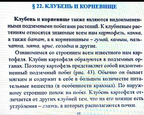 Рассмотрите плод картофеля, изучите его внутреннее стро