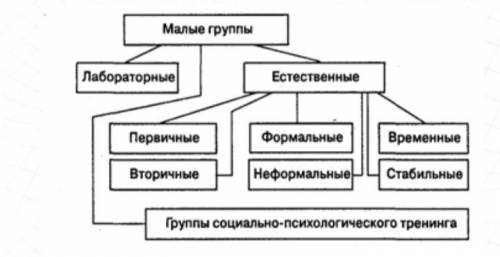 Назовите социальные роли в малой группе. приведите примеры​