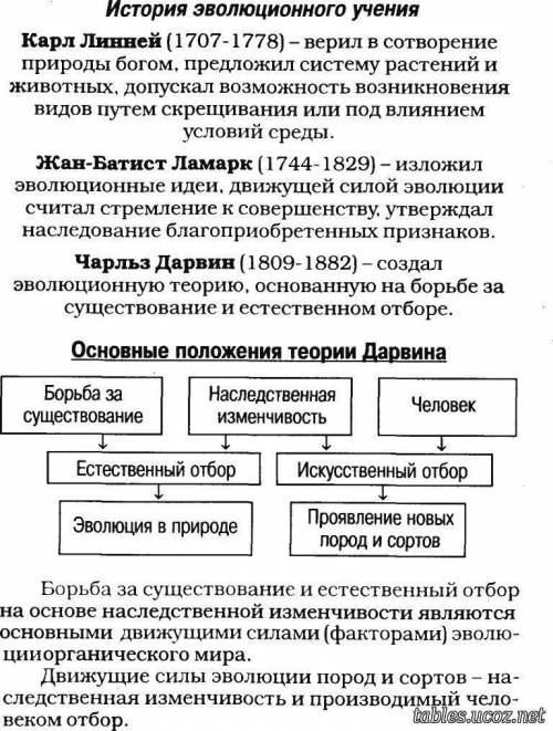 История развития эволюционных идей. Оценка работ К. Линнея, Ж.Б. Ламарка, Ч. Дарвина