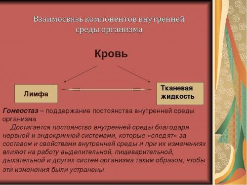 Объясни значение крови для поддержания постоянства внутренней среды организма​