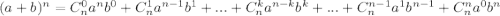 (a + b)^{n} = C^{0}_{n}a^{n}b^{0} + C^{1}_{n}a^{n-1}b^{1} + ... + C^{k}_{n}a^{n-k}b^{k} + ... + C^{n-1}_{n}a^{1}b^{n-1} + C^{n}_{n}a^{0}b^{n}