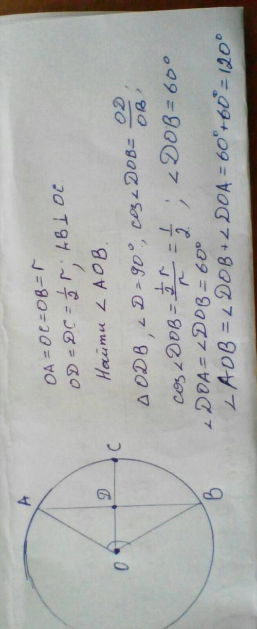 В окружности с центром О через середину радиуса проведено хорду АВ, перпендикулярную к нему. Найдите