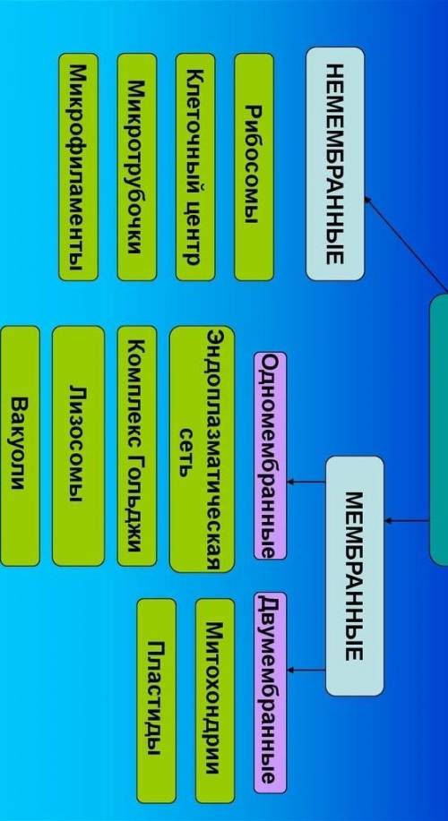 Составить таблицу 1 Клеточные структуры и их функцииТаблицу 2Выпишите клеточные структурыНемембранны