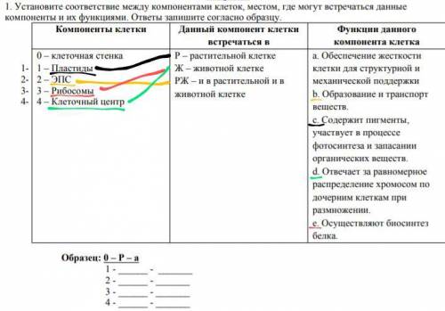 Б Установите соответствие между компонентами клеток, местом, где могут встречаться данные компоненты