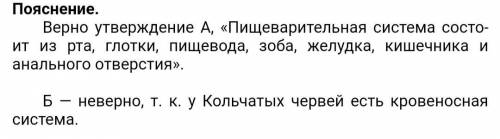 Вернее ли следующие суждения о кольчатых и круглых червях? А. Пищеварительная система представляет с