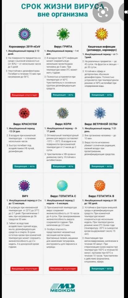 Какие есть вирусы. рисунок​