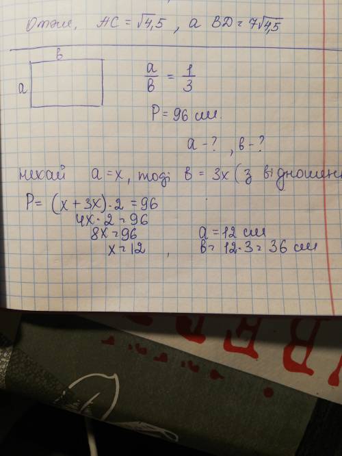 5. Периметр прямокутника дорівнює 96см. Знайдіть його сторони, якщо вони відносяться як 1:3. А) 24см