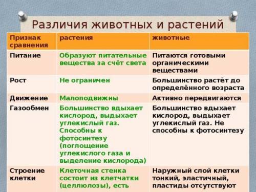 Различия животных и растений 5 пунктов