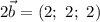 2\vec{b} = (2; ~ 2; ~ 2)