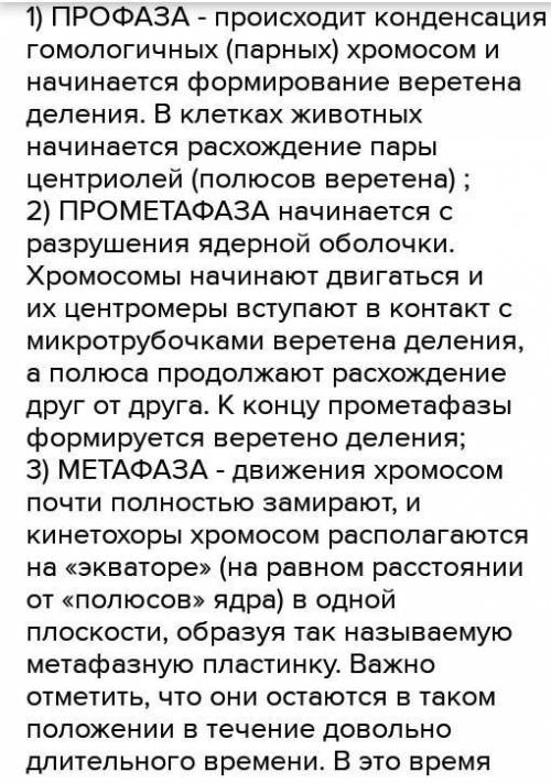 Нарисовать в тетрадь фазы митоза, подписать название фаз и дать краткое описание каждой фазы