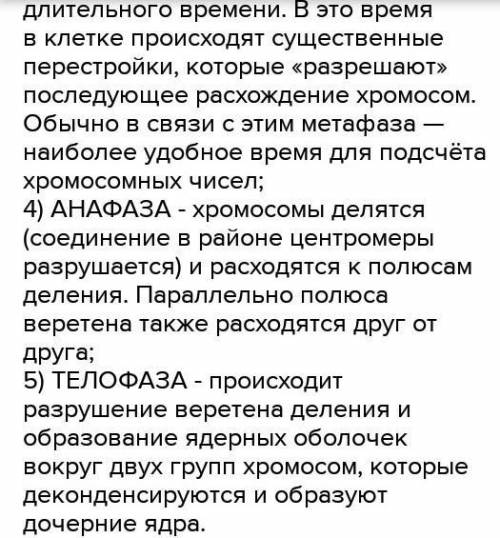 Нарисовать в тетрадь фазы митоза, подписать название фаз и дать краткое описание каждой фазы