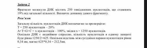 фермент молекули ДНК містить 250 тимідилових нуклеотидів що становить 19% від загальної кількості ви