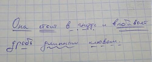 Синтаксический разбор предложения: Она стоит в гнезде и выбивает дробь длинным клювом